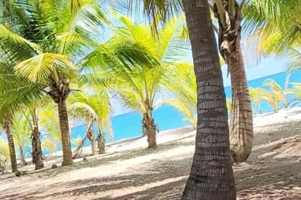 Villa Ocean Motion Rental Casa En La Playa Con Piscina Cerca Yunque Y Vsjuan Loiza Puerto Rico